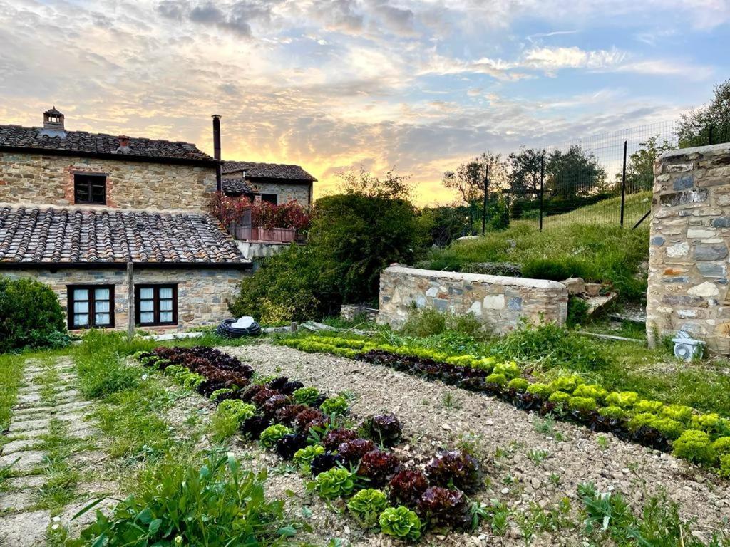 Fattoria Casa Sola Guest House Barberino di Val dʼElsa Exterior foto