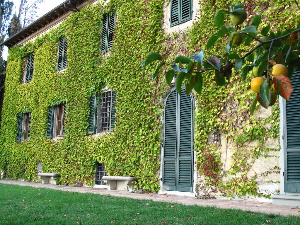 Fattoria Casa Sola Guest House Barberino di Val dʼElsa Exterior foto